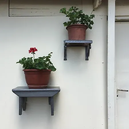幽雅公寓
